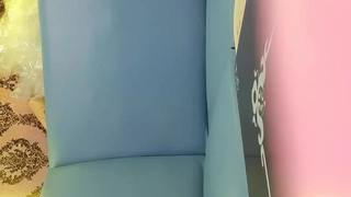 私人玩物美厨娘