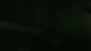 梁朝伟樱花照