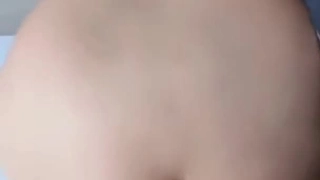 小雅小雅精彩直播十一月三十号